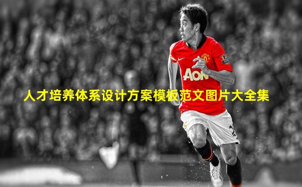 人才培养体系设计方案模板范文图片大全集