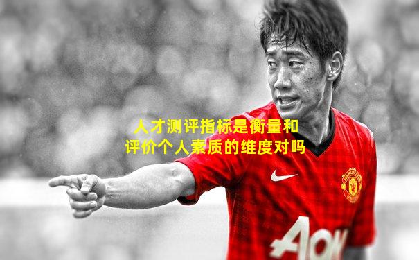 人才测评指标是衡量和评价个人素质的维度对吗