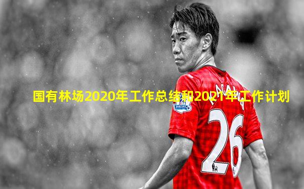 国有林场2020年工作总结和2021年工作计划