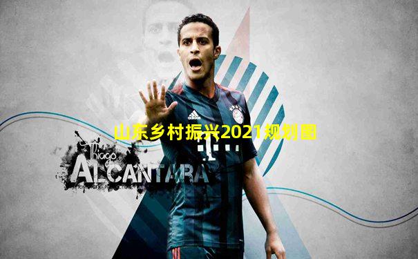 山东乡村振兴2021规划图
