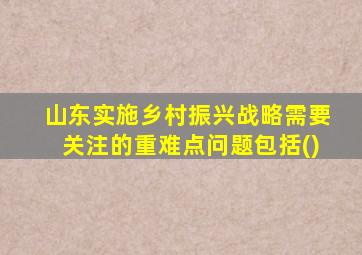 山东实施乡村振兴战略需要关注的重难点问题包括()