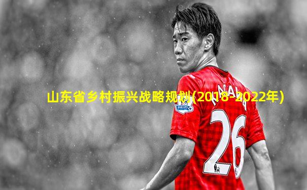 山东省乡村振兴战略规划(2018-2022年)