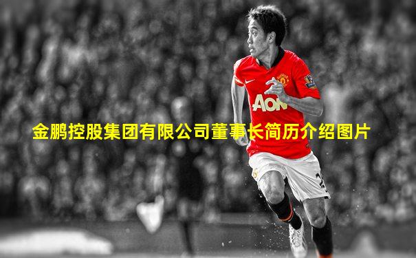 金鹏控股集团有限公司董事长简历介绍图片