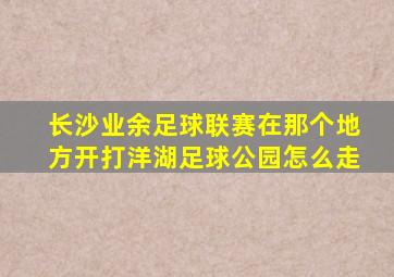 长沙业余足球联赛在那个地方开打洋湖足球公园怎么走