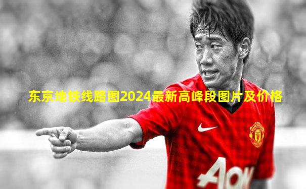 东京地铁线路图2024最新高峰段图片及价格