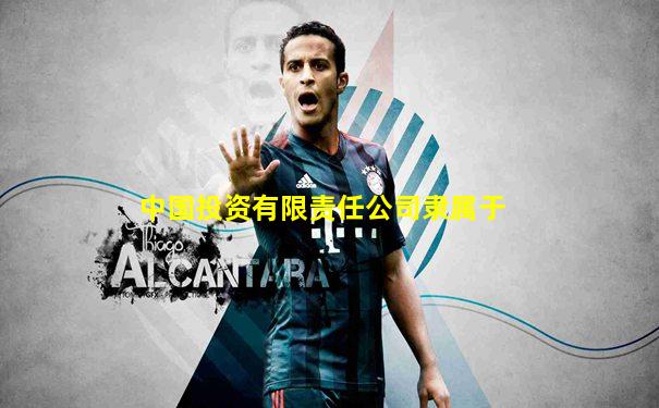 中国投资有限责任公司隶属于