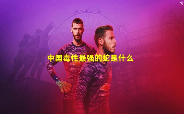 中国毒性最强的蛇是什么
