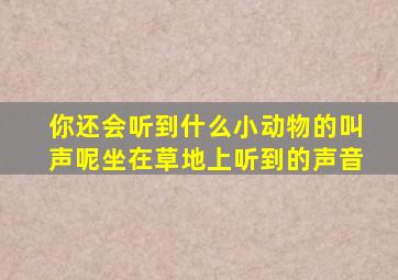 你还会听到什么小动物的叫声呢坐在草地上听到的声音