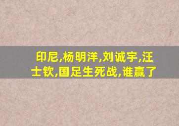 印尼,杨明洋,刘诚宇,汪士钦,国足生死战,谁赢了