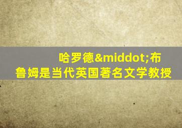 哈罗德·布鲁姆是当代英国著名文学教授