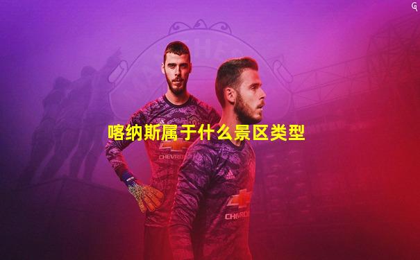 喀纳斯属于什么景区类型
