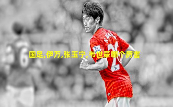 国足,伊万,张玉宁,韦世豪哪个厉害