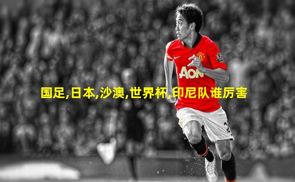 国足,日本,沙澳,世界杯,印尼队谁厉害