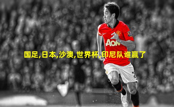国足,日本,沙澳,世界杯,印尼队谁赢了