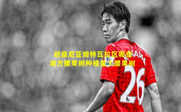 坦桑尼亚姆特瓦拉区哪些地方腰果树种植量大腰果树