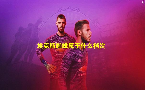 埃克斯咖啡属于什么档次