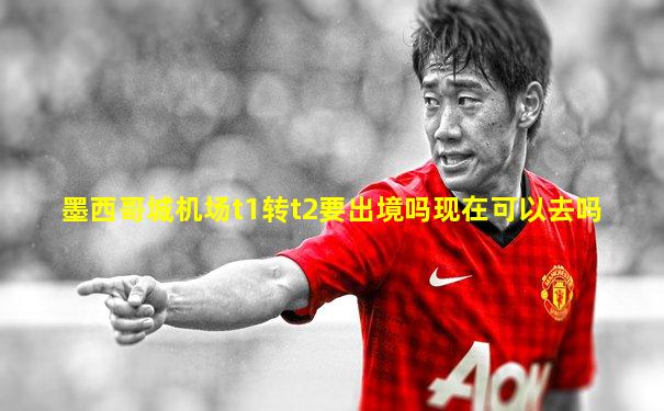 墨西哥城机场t1转t2要出境吗现在可以去吗