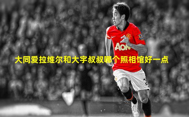 大同爱拉维尔和大宇叔叔哪个照相馆好一点