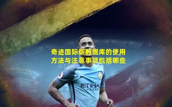 奇迹国际版数据库的使用方法与注意事项包括哪些