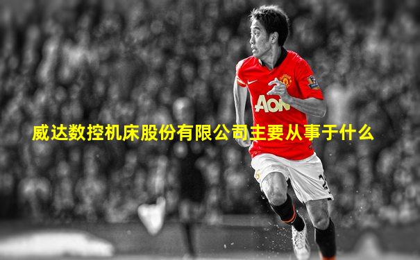 威达数控机床股份有限公司主要从事于什么