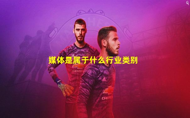 媒体是属于什么行业类别