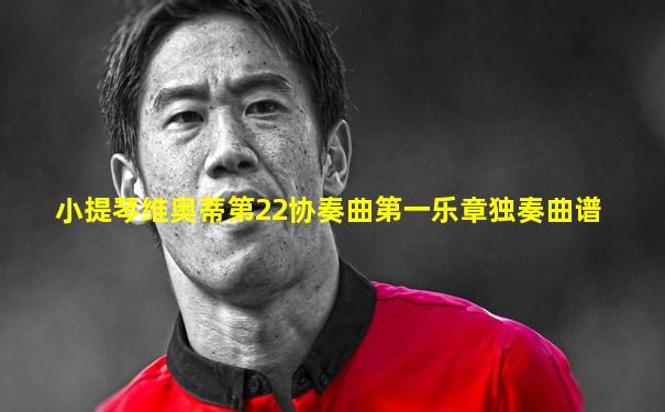 小提琴维奥蒂第22协奏曲第一乐章独奏曲谱