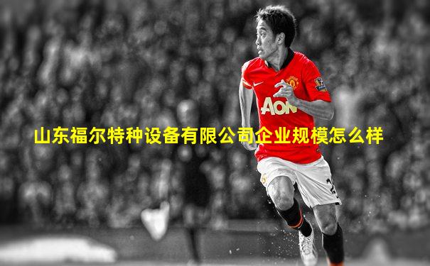 山东福尔特种设备有限公司企业规模怎么样