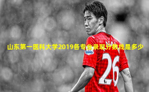 山东第一医科大学2019各专业录取分数线是多少