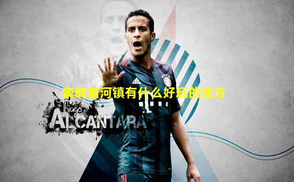 崇明新河镇有什么好玩的地方