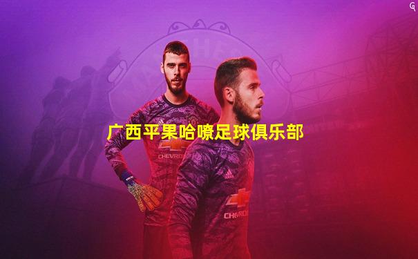 广西平果哈嘹足球俱乐部