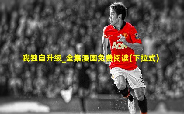 我独自升级_全集漫画免费阅读(下拉式)