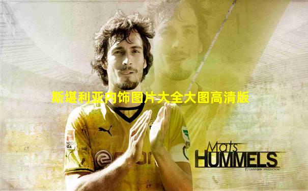 斯堪利亚内饰图片大全大图高清版