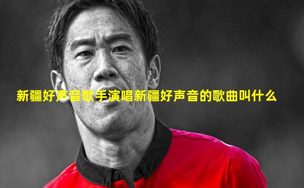 新疆好声音歌手演唱新疆好声音的歌曲叫什么