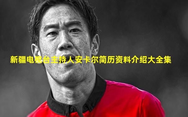 新疆电视台主持人安卡尔简历资料介绍大全集