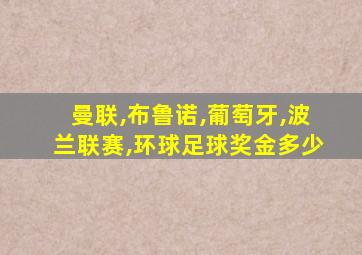 曼联,布鲁诺,葡萄牙,波兰联赛,环球足球奖金多少