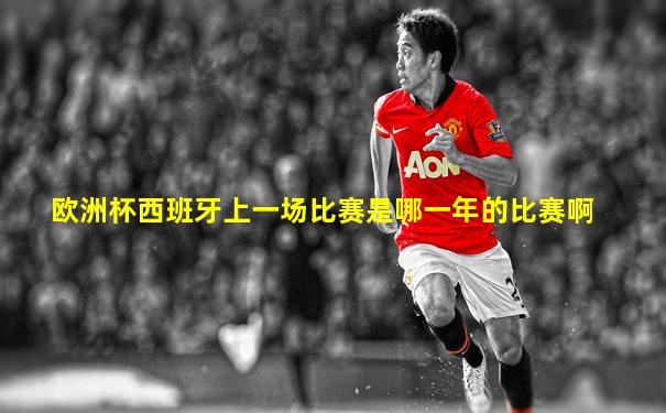 欧洲杯西班牙上一场比赛是哪一年的比赛啊