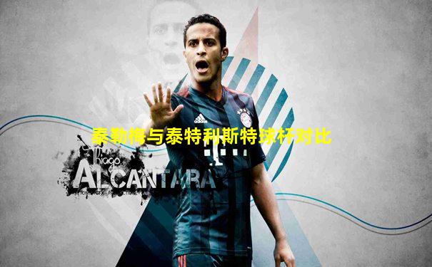 泰勒梅与泰特利斯特球杆对比