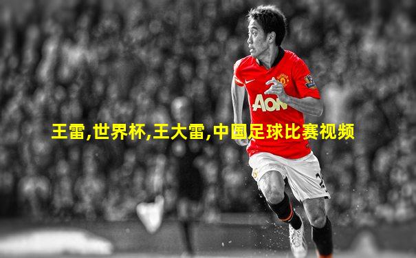 王雷,世界杯,王大雷,中国足球比赛视频