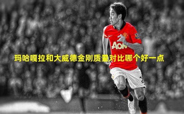 玛哈嘎拉和大威德金刚质量对比哪个好一点