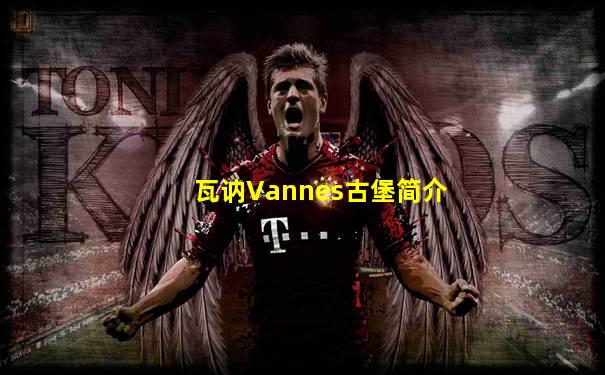 瓦讷Vannes古堡简介