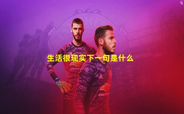 生活很现实下一句是什么