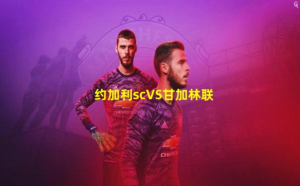 约加利scVS甘加林联