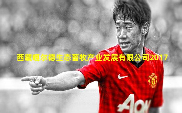 西藏嘎尔德生态畜牧产业发展有限公司2017