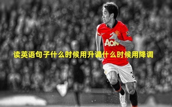 读英语句子什么时候用升调什么时候用降调