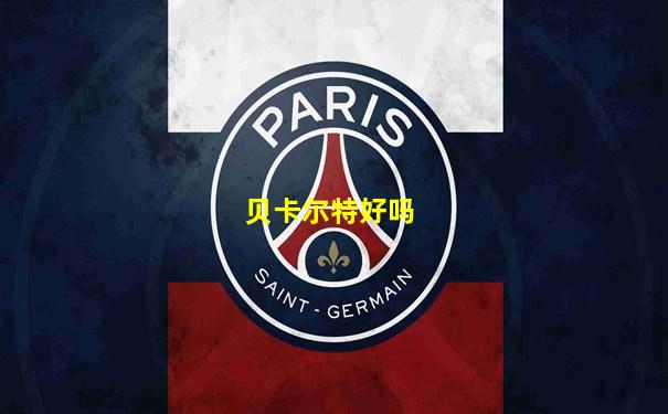 贝卡尔特好吗