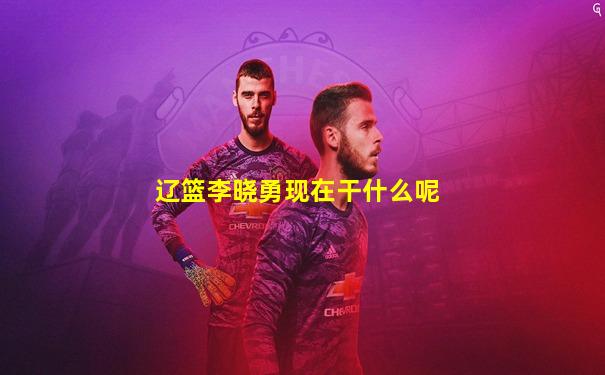 辽篮李晓勇现在干什么呢