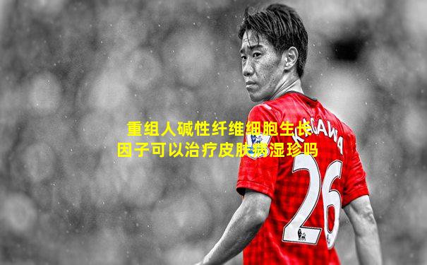 重组人碱性纤维细胞生长因子可以治疗皮肤病湿珍吗