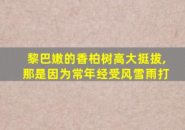 黎巴嫩的香柏树高大挺拔,那是因为常年经受风雪雨打
